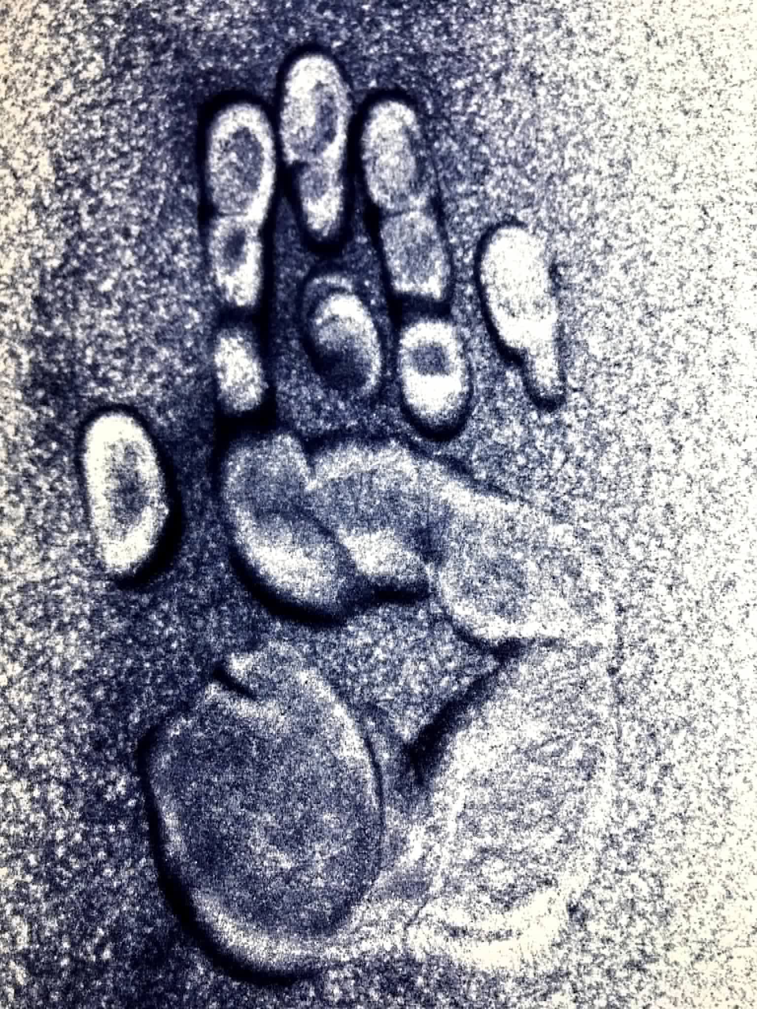 Галерея 5